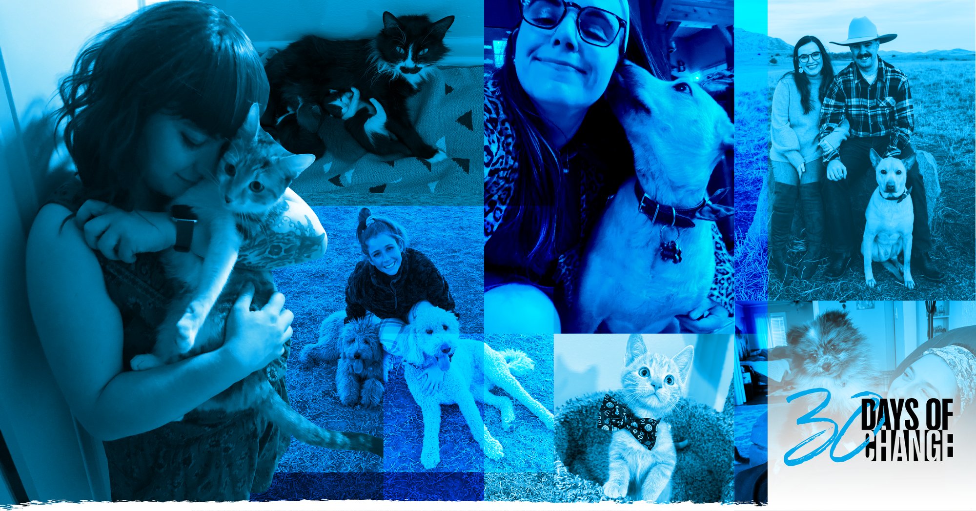 Pet Adoption Blog Header