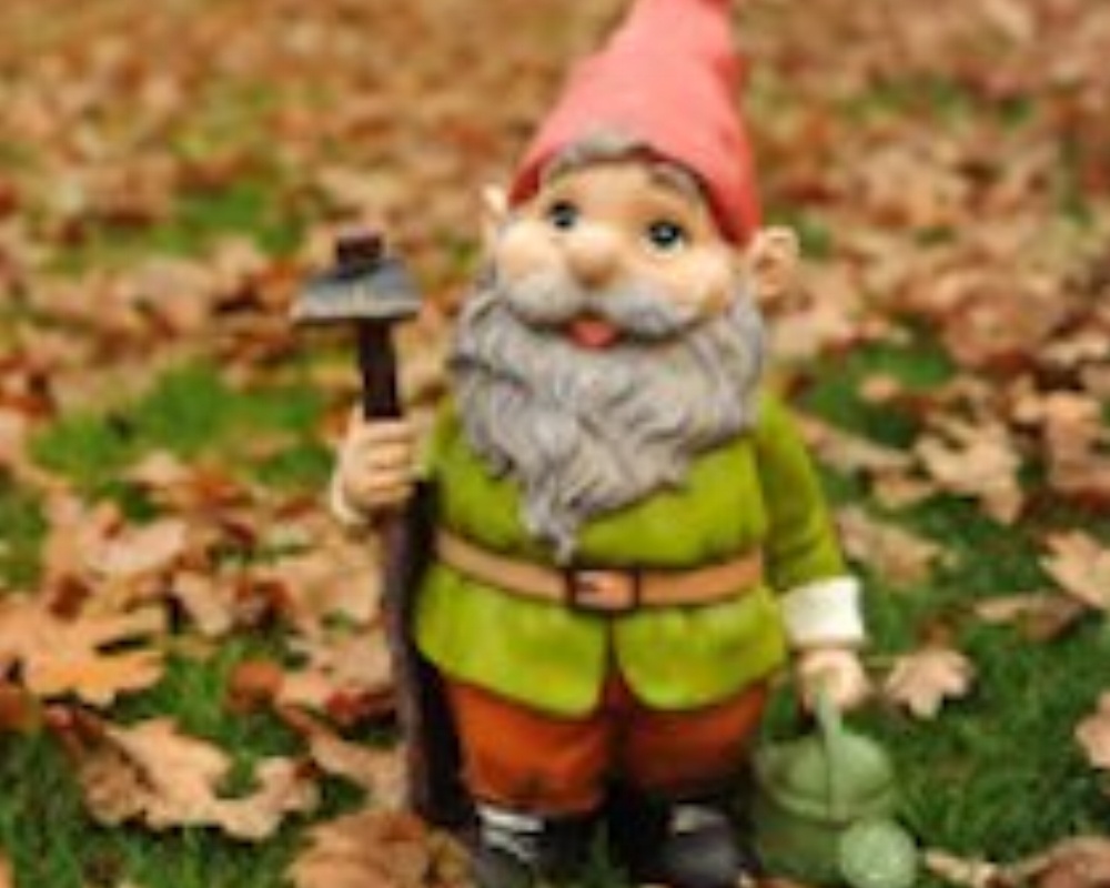 stock-photo-15246684-gnome-and-autumn-leaves1-088683-edited.jpg