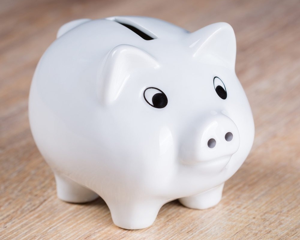 white-piggy-bank-767761-edited.jpg